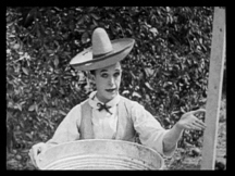 Oranges and Lemons.jpg (32083 bytes)